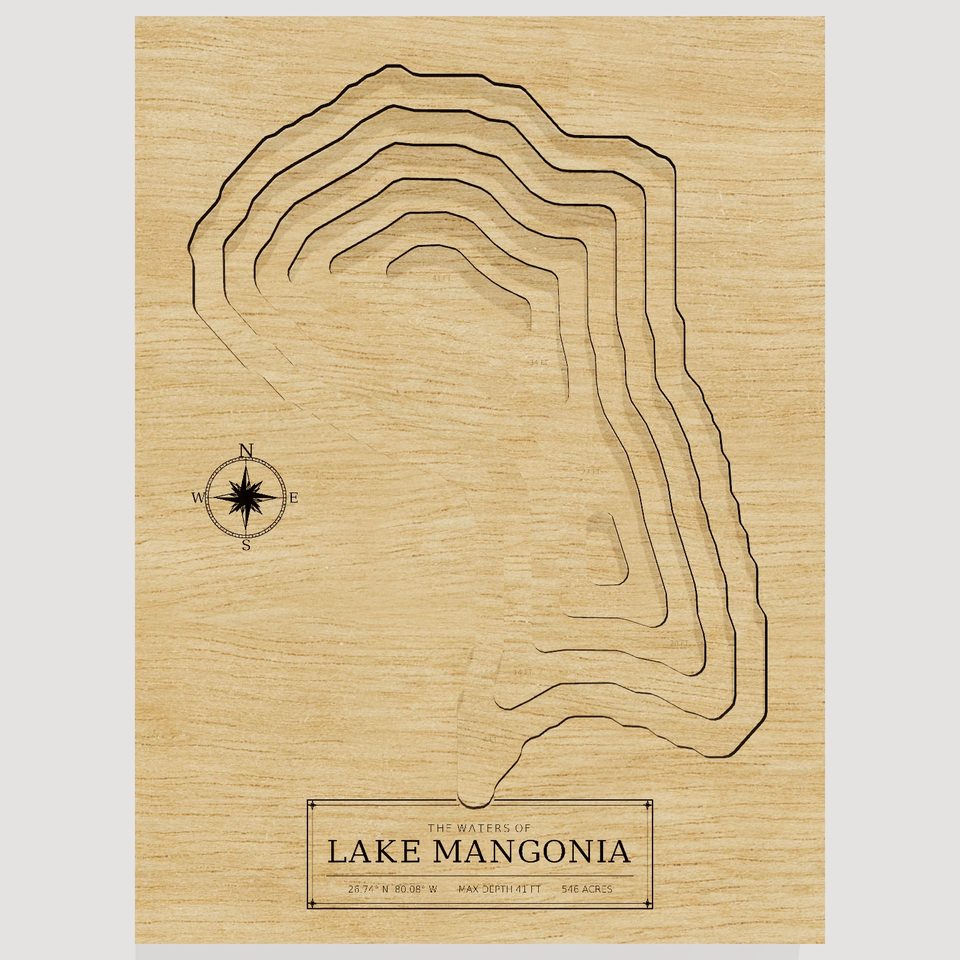 Lake Mangonia 3D wood map, front view