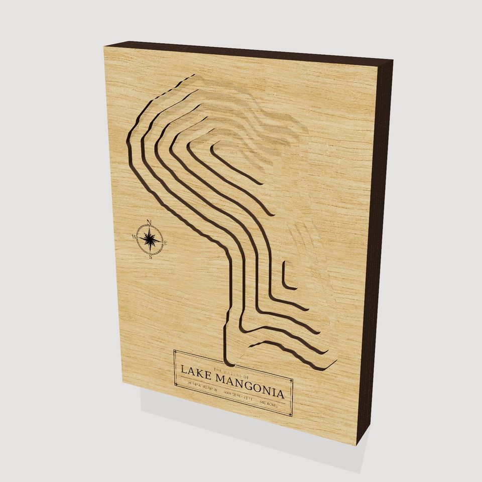 Lake Mangonia 3D wood map, hero view