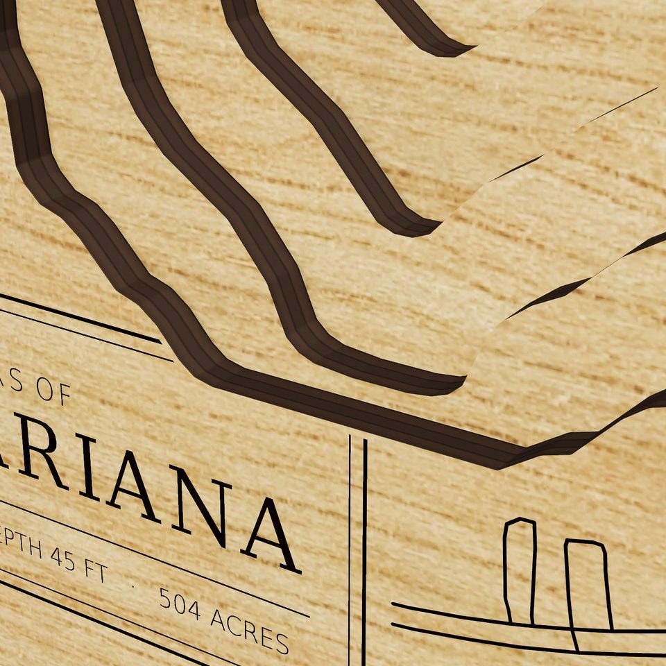 Lake Mariana 3D wood map, detail view