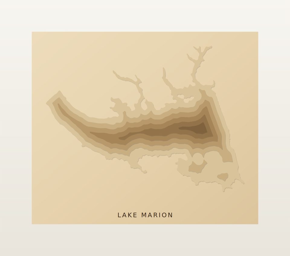 Lake Marion 3D wood map, preview view