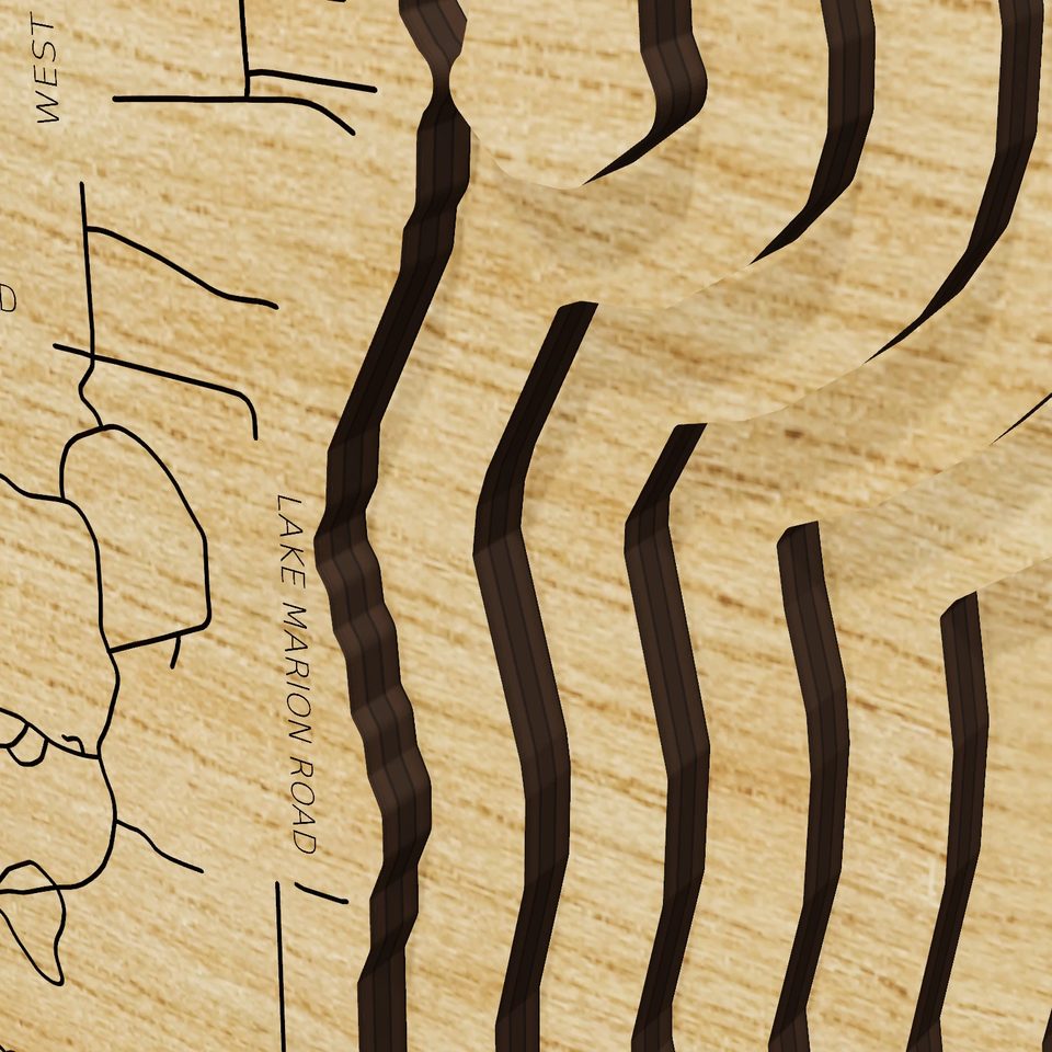 Lake Marion 3D wood map, detail view