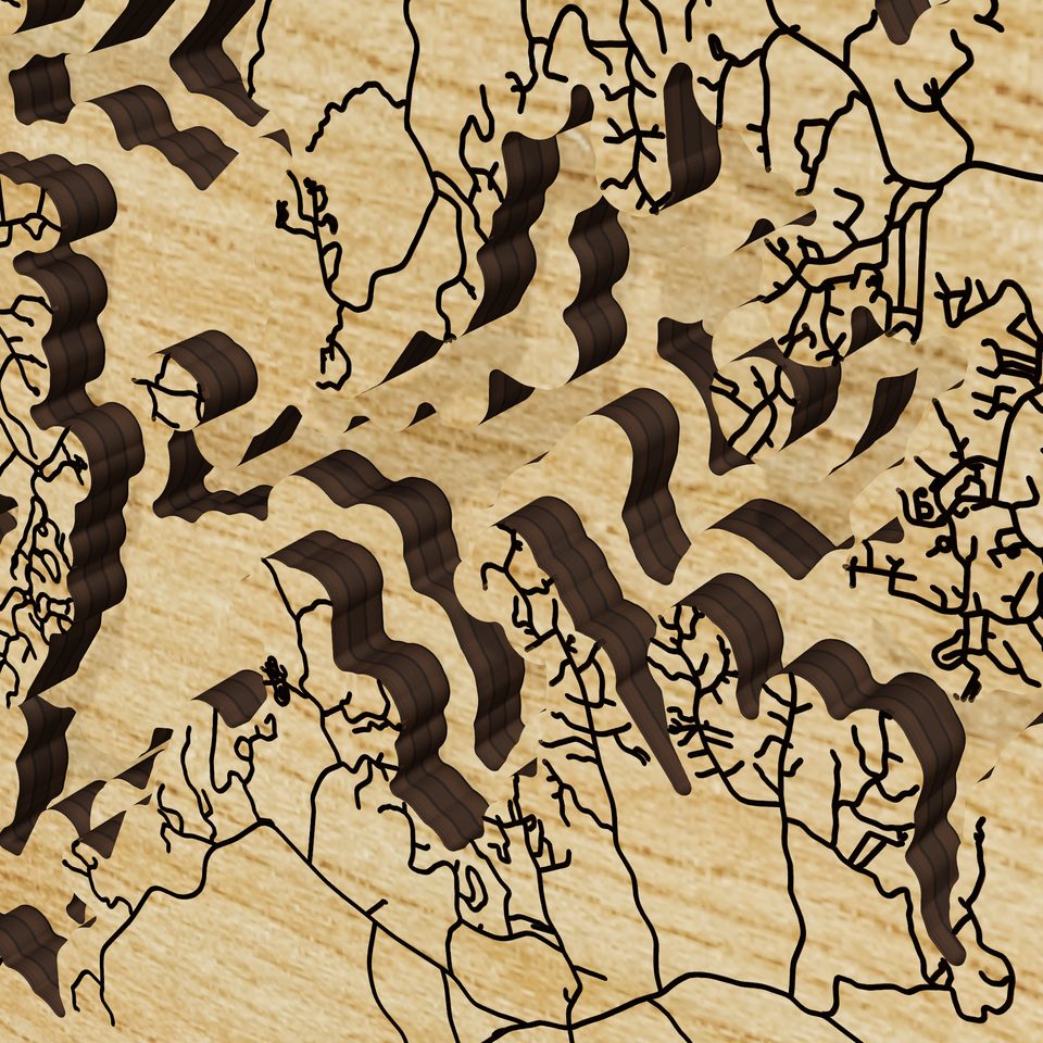 Lake Martin 3D wood map, detail view