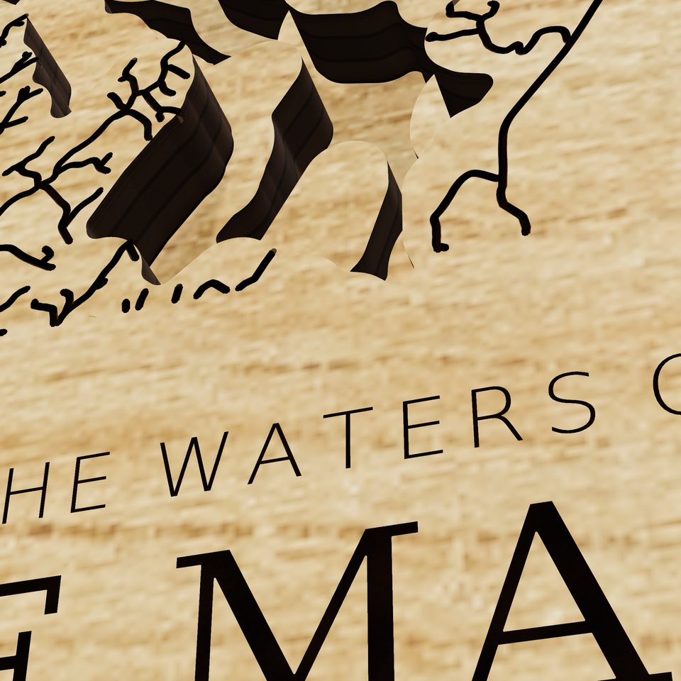 Lake Martin 3D wood map, title view
