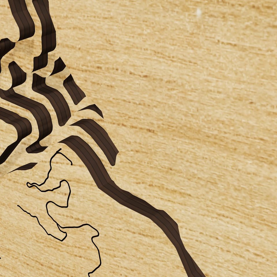 Lake McClure 3D wood map, detail view