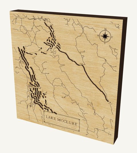 Lake McClure wood map