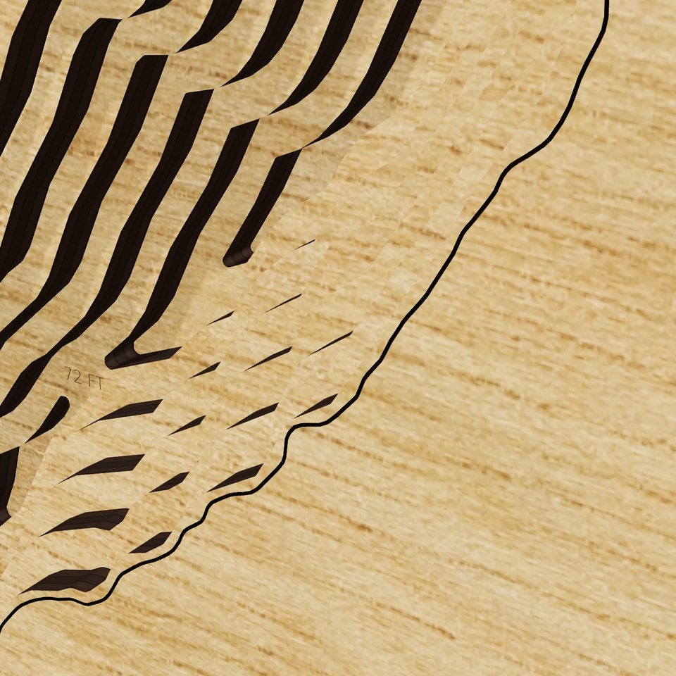 Lake McDonald 3D wood map, detail view