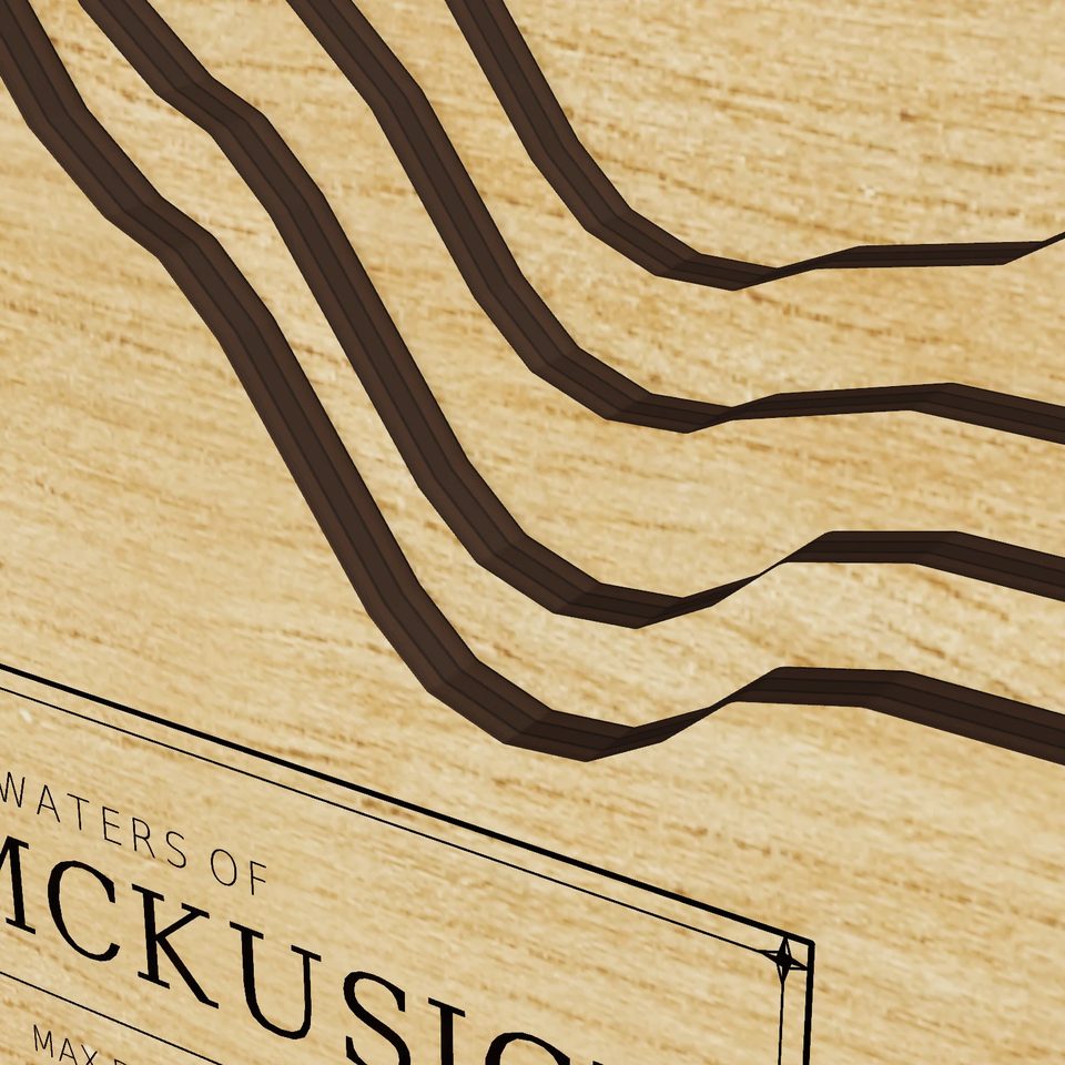Lake McKusick 3D wood map, detail view