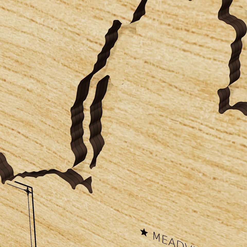 Lake Mead 3D wood map, detail view