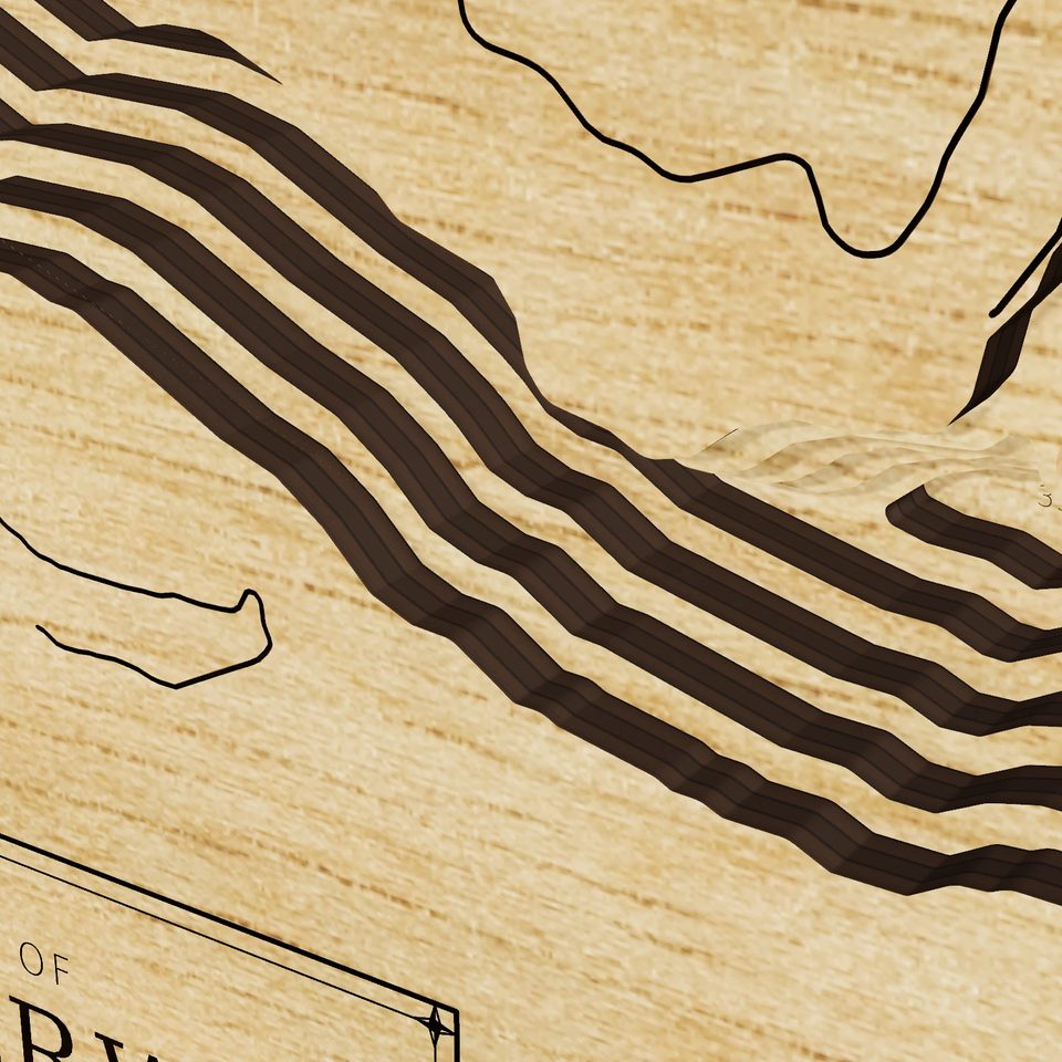 Lake Merwin 3D wood map, detail view