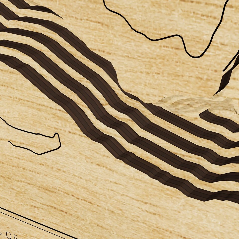 Lake Merwin 3D wood map, detail view