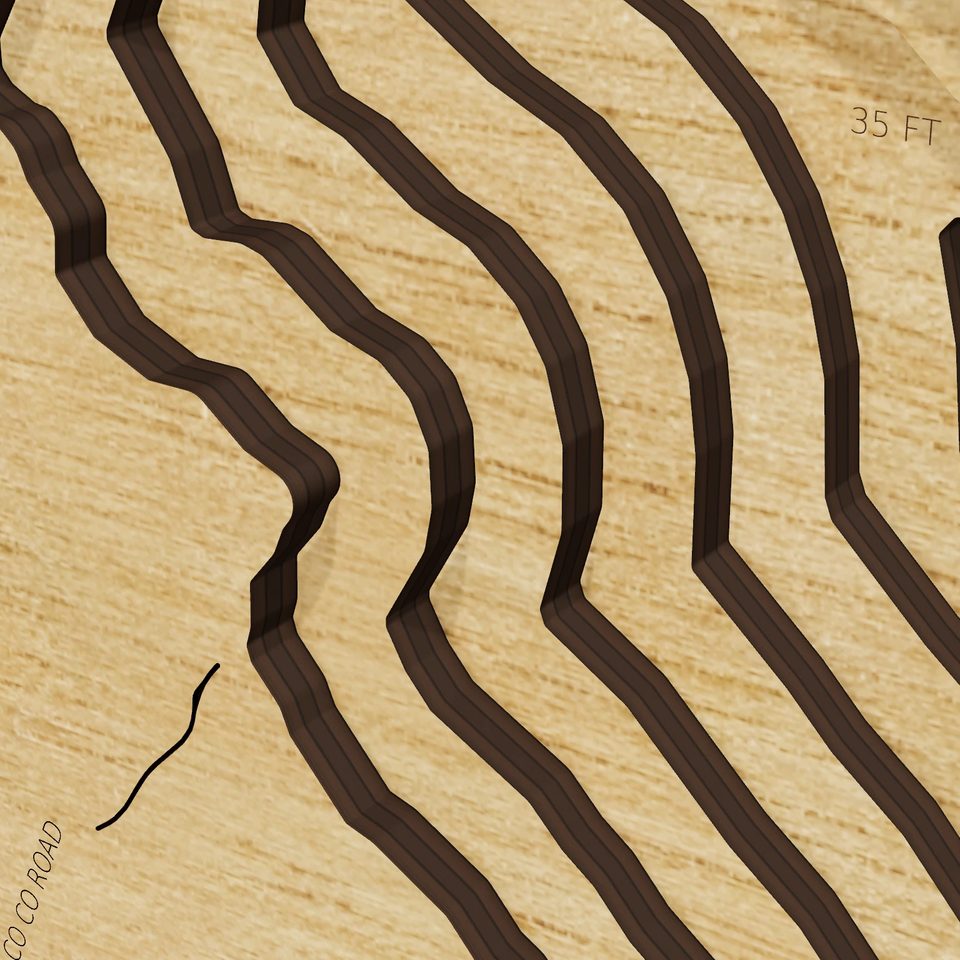 Lake Miccosukee 3D wood map, detail view