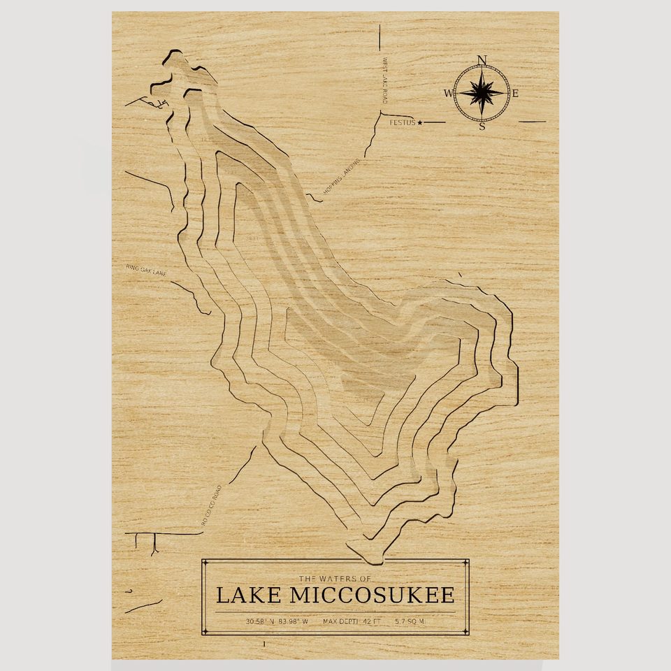 Lake Miccosukee 3D wood map, front view