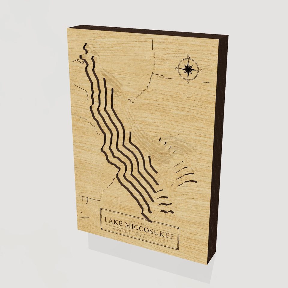 Lake Miccosukee 3D wood map, hero view