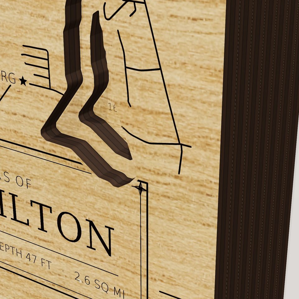 Lake Milton 3D wood map, detail view