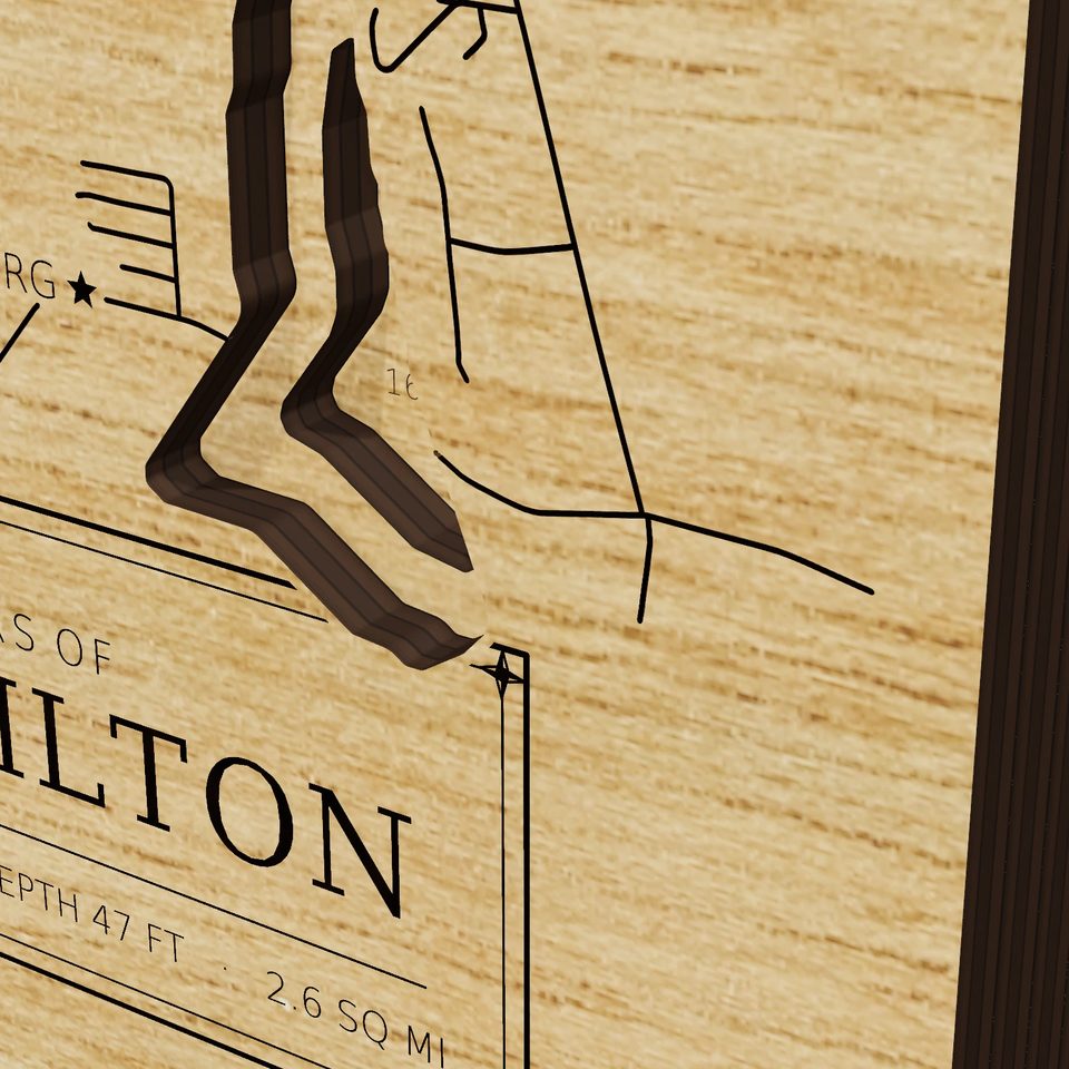 Lake Milton 3D wood map, detail view