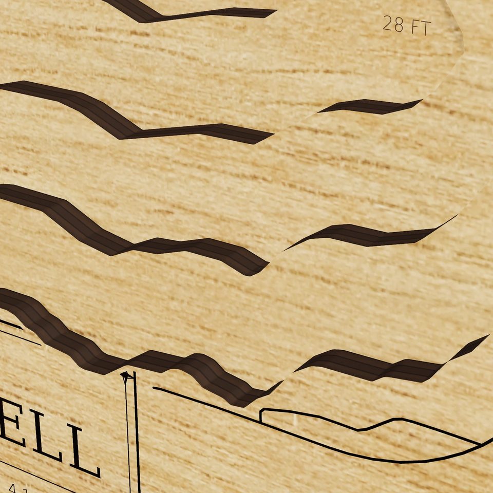 Lake Mitchell 3D wood map, detail view
