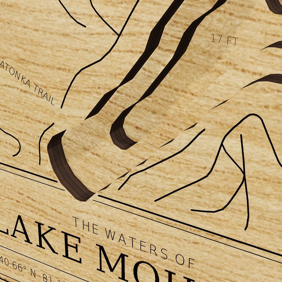 Lake Mohawk 3D wood map, detail view