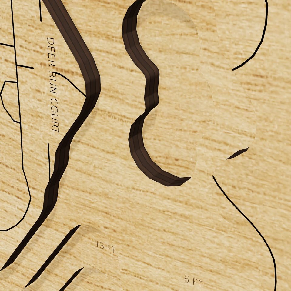 Lake Monterey 3D wood map, detail view