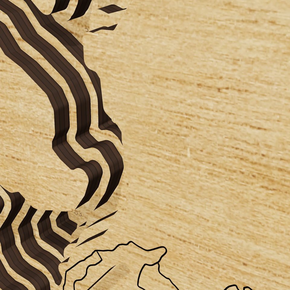 Lake Moomaw 3D wood map, detail view