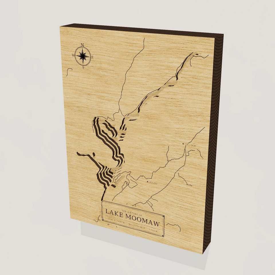 Lake Moomaw 3D wood map, hero view