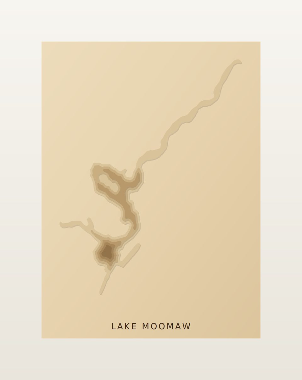 Lake Moomaw 3D wood map, preview view