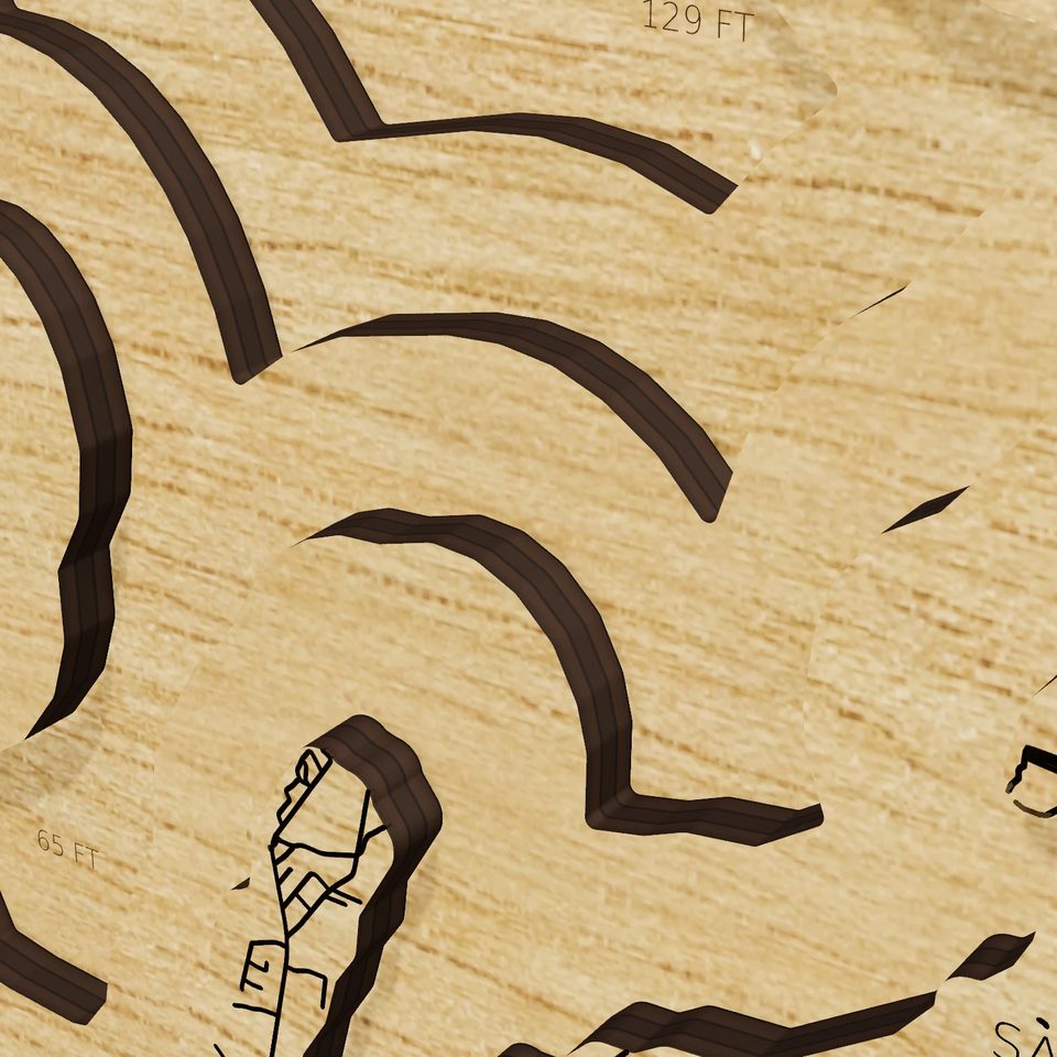 Lake Moultrie 3D wood map, detail view