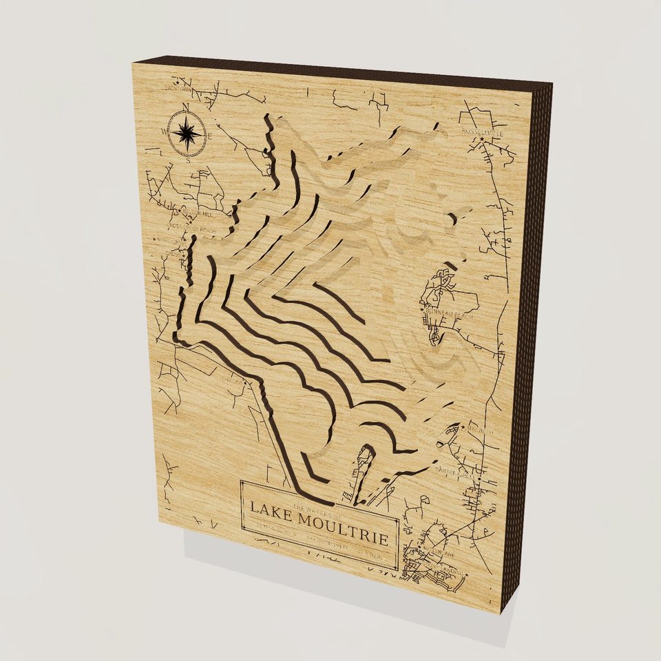 Lake Moultrie 3D wood map, hero view
