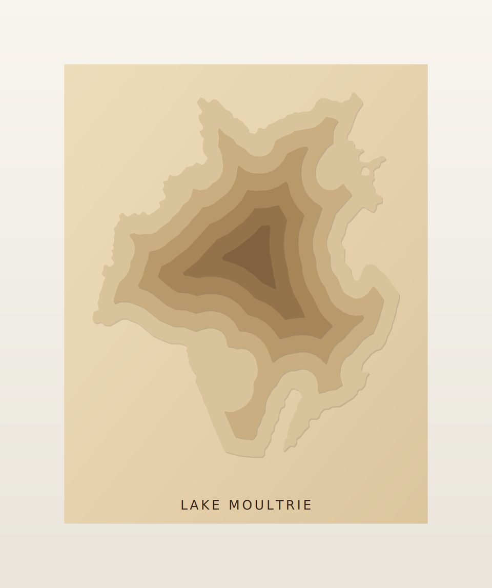 Lake Moultrie 3D wood map, preview view
