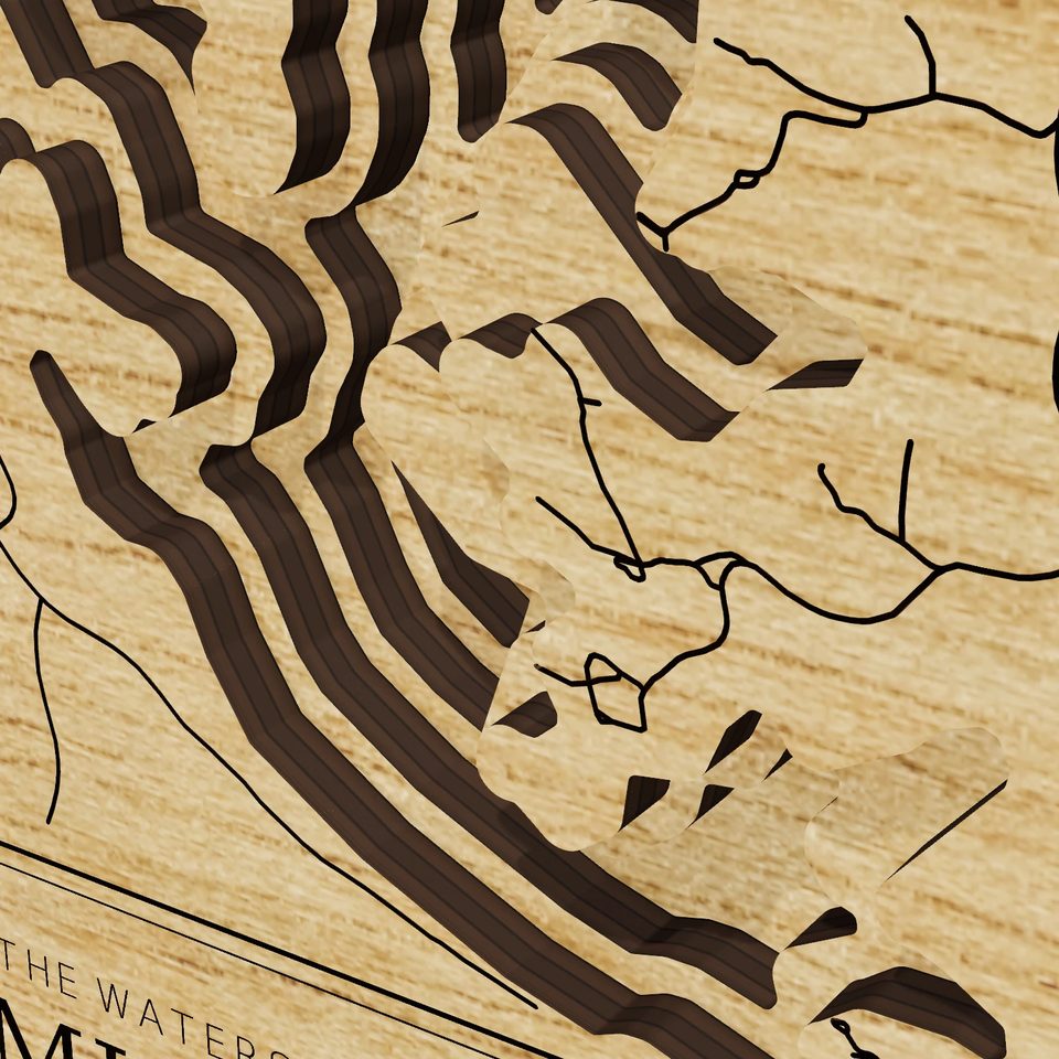 Lake Murray 3D wood map, detail view