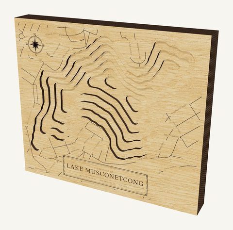 Lake Musconetcong wood map