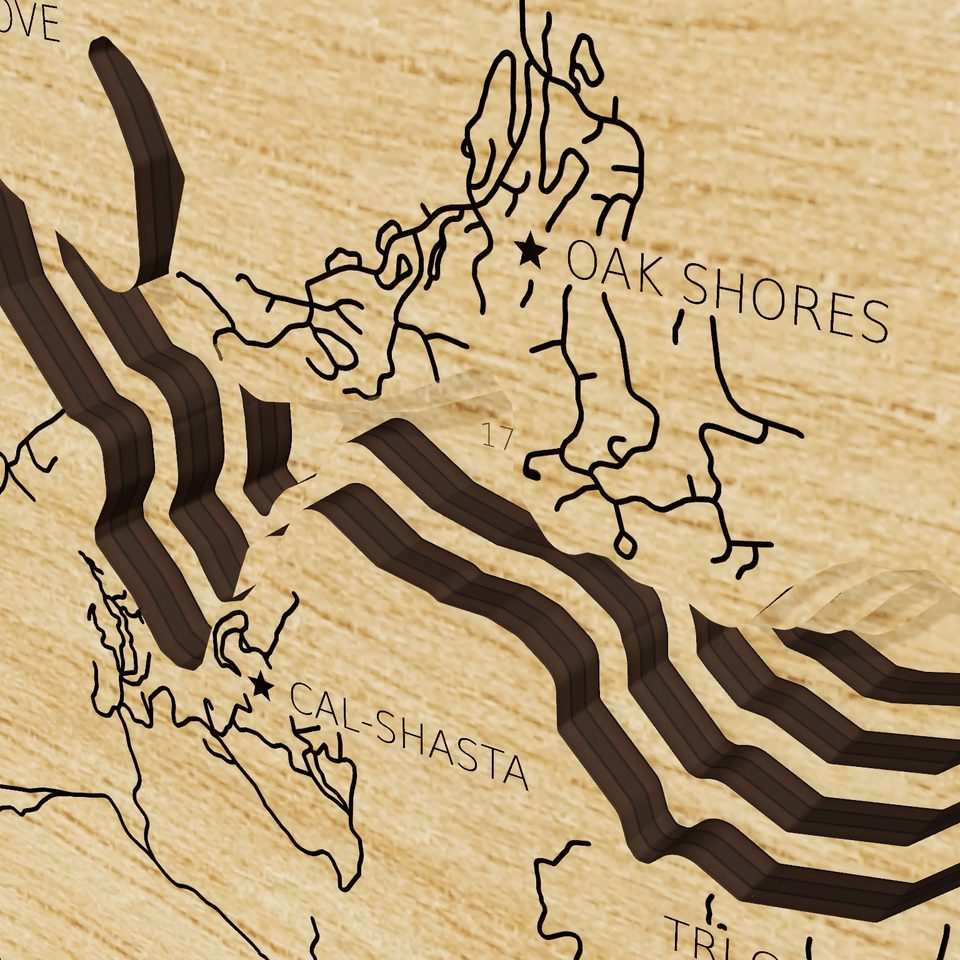 Lake Nacimiento 3D wood map, detail view