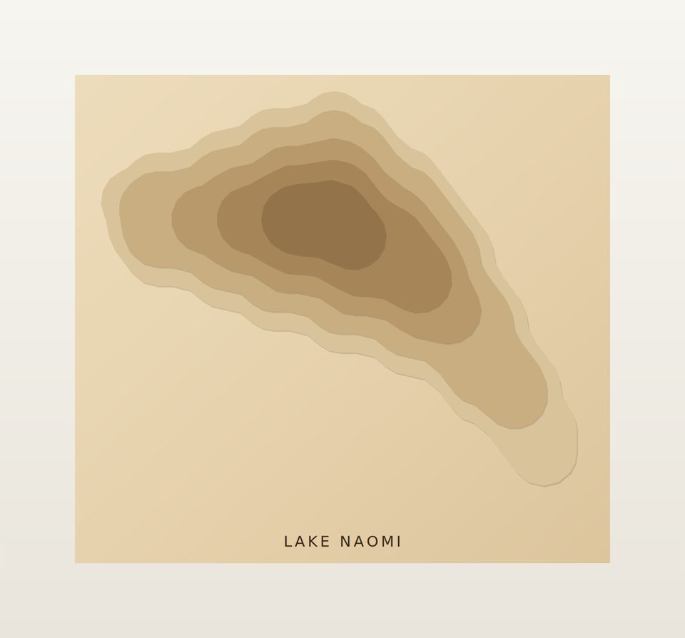 Lake Naomi 3D wood map, preview view