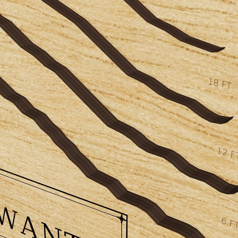 Lake Neatahwanta 3D wood map, detail view