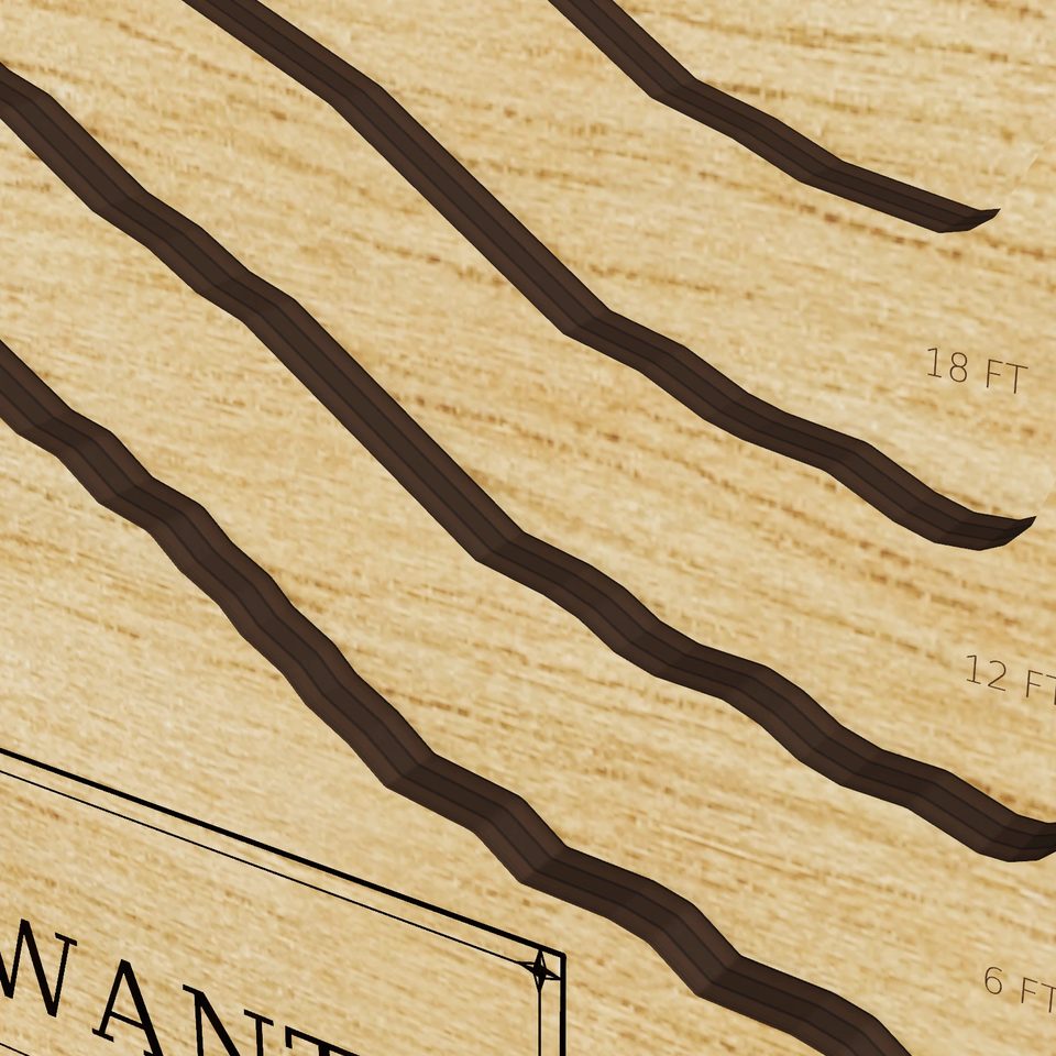 Lake Neatahwanta 3D wood map, detail view