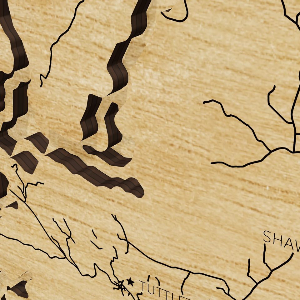 Lake New Melones 3D wood map, detail view
