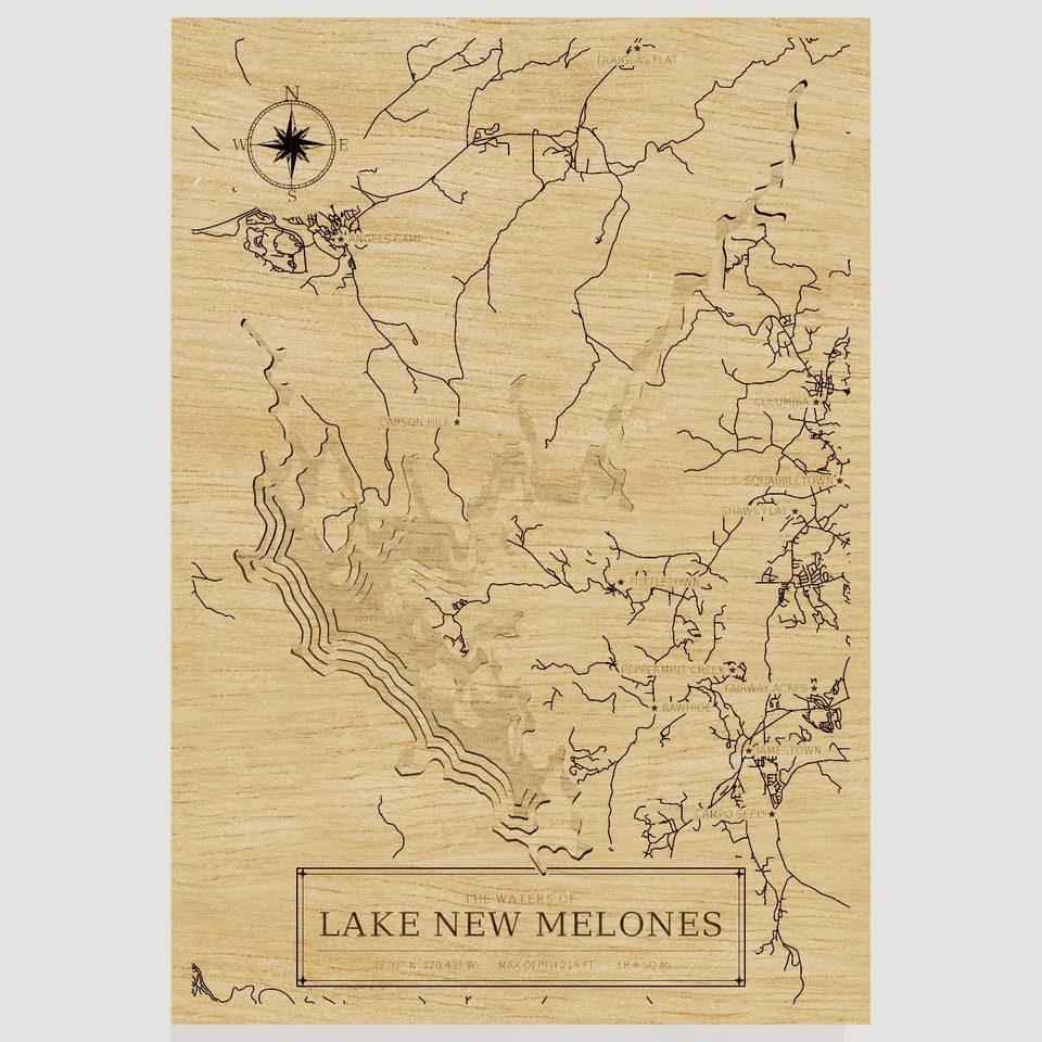 Lake New Melones 3D wood map, front view