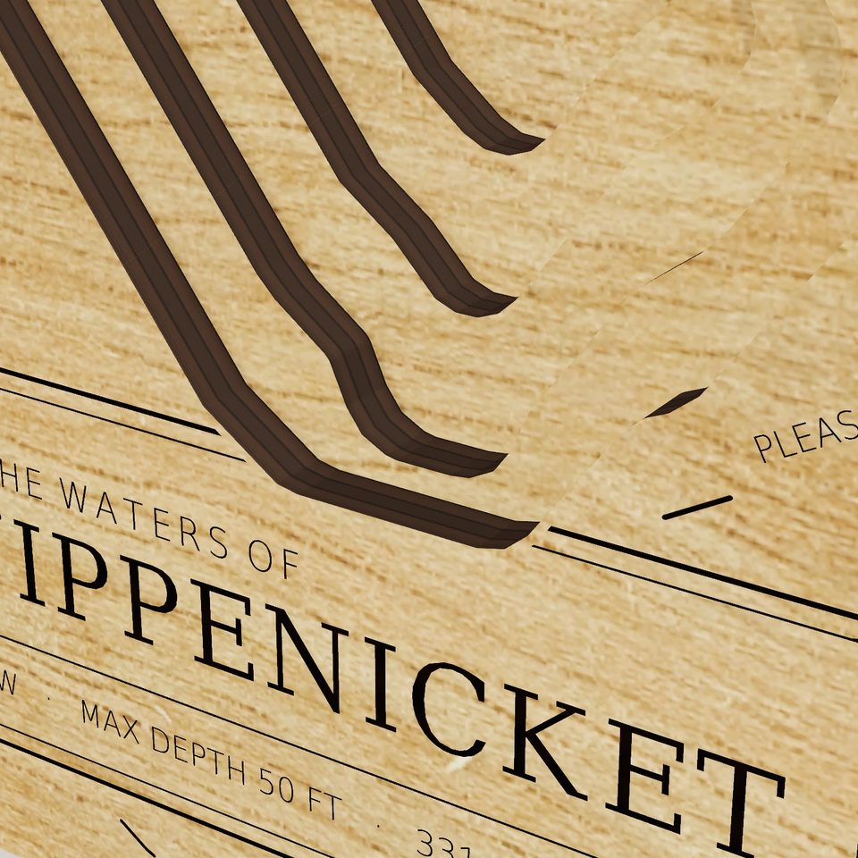 Lake Nippenicket 3D wood map, detail view