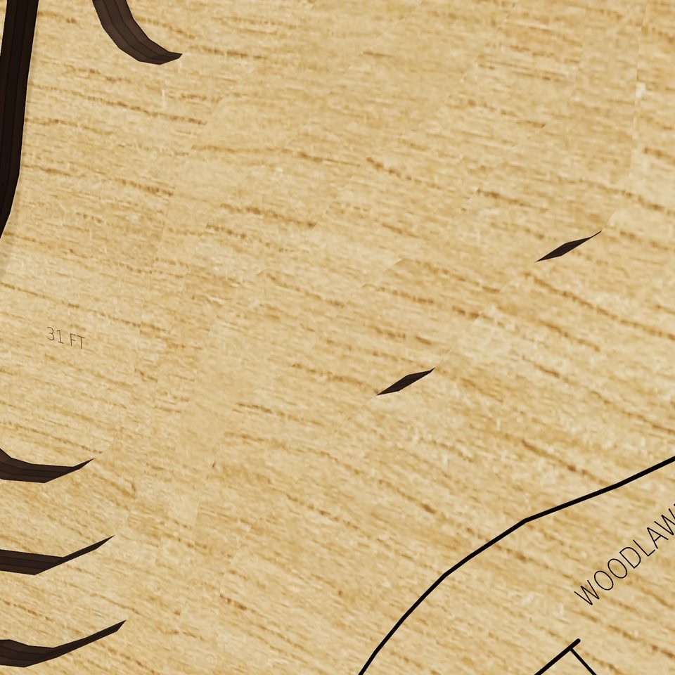 Lake Nokomis 3D wood map, detail view