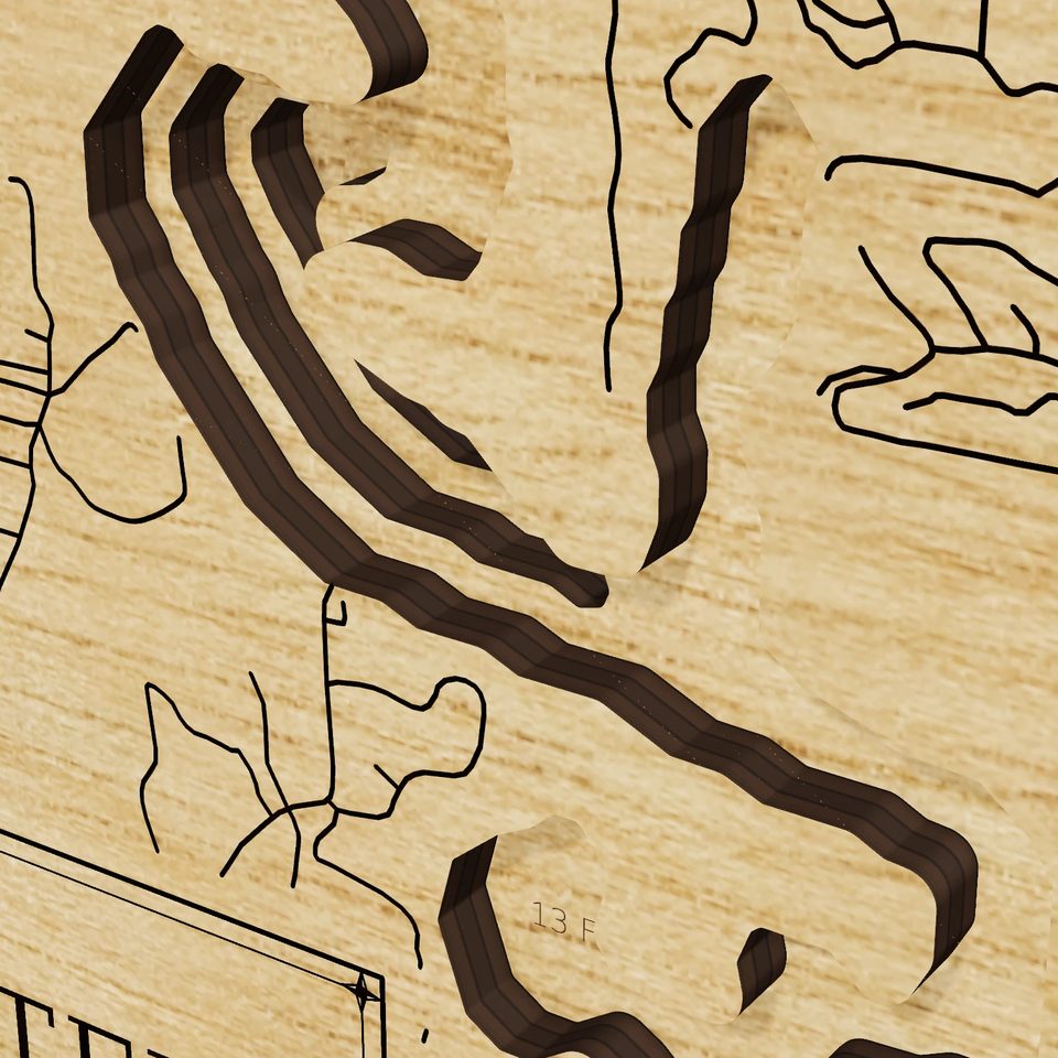 Lake Nottely 3D wood map, detail view