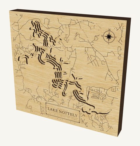 Lake Nottely wood map