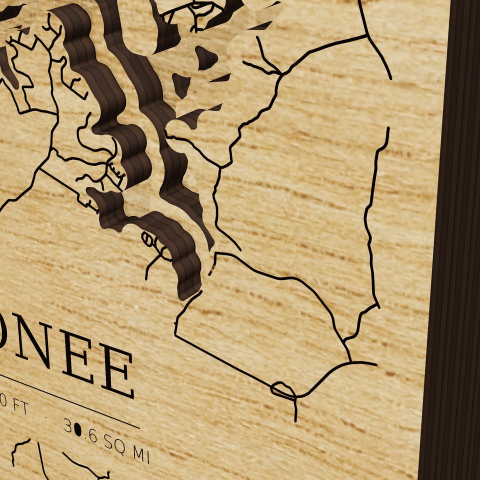 Lake Oconee 3D wood map, detail view