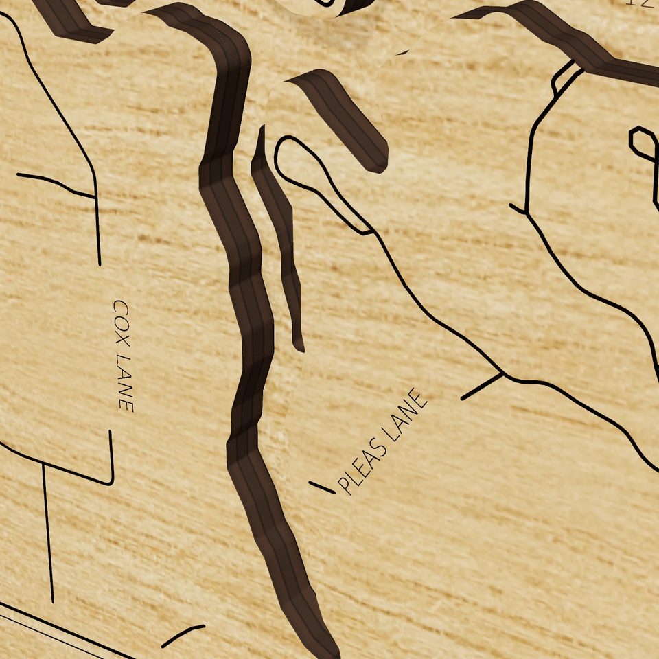 Lake of Egypt 3D wood map, detail view