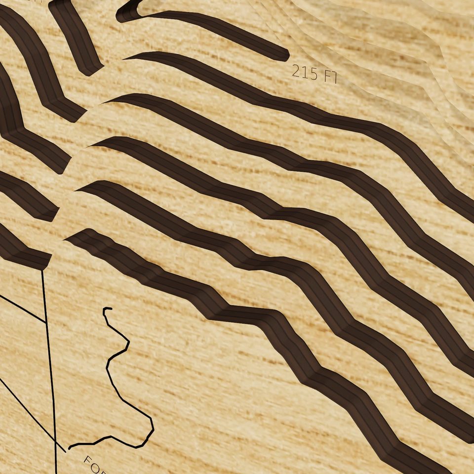 Lake Oklawaha 3D wood map, detail view