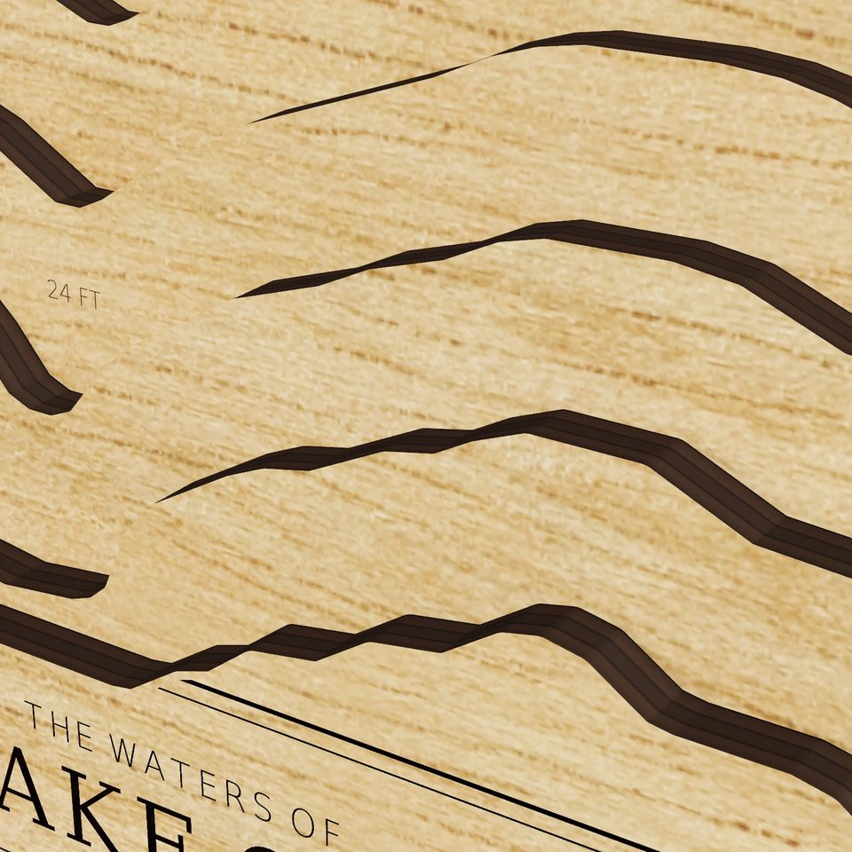 Lake Ola 3D wood map, detail view