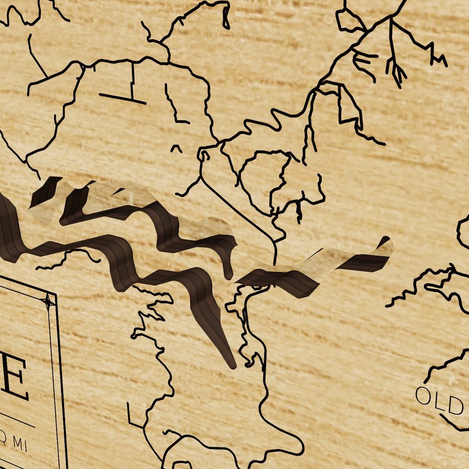 Lake Oroville 3D wood map, detail view