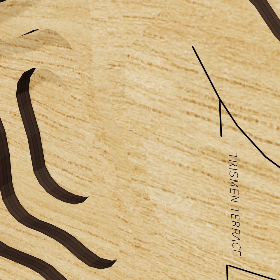 Lake Osceola 3D wood map, detail view