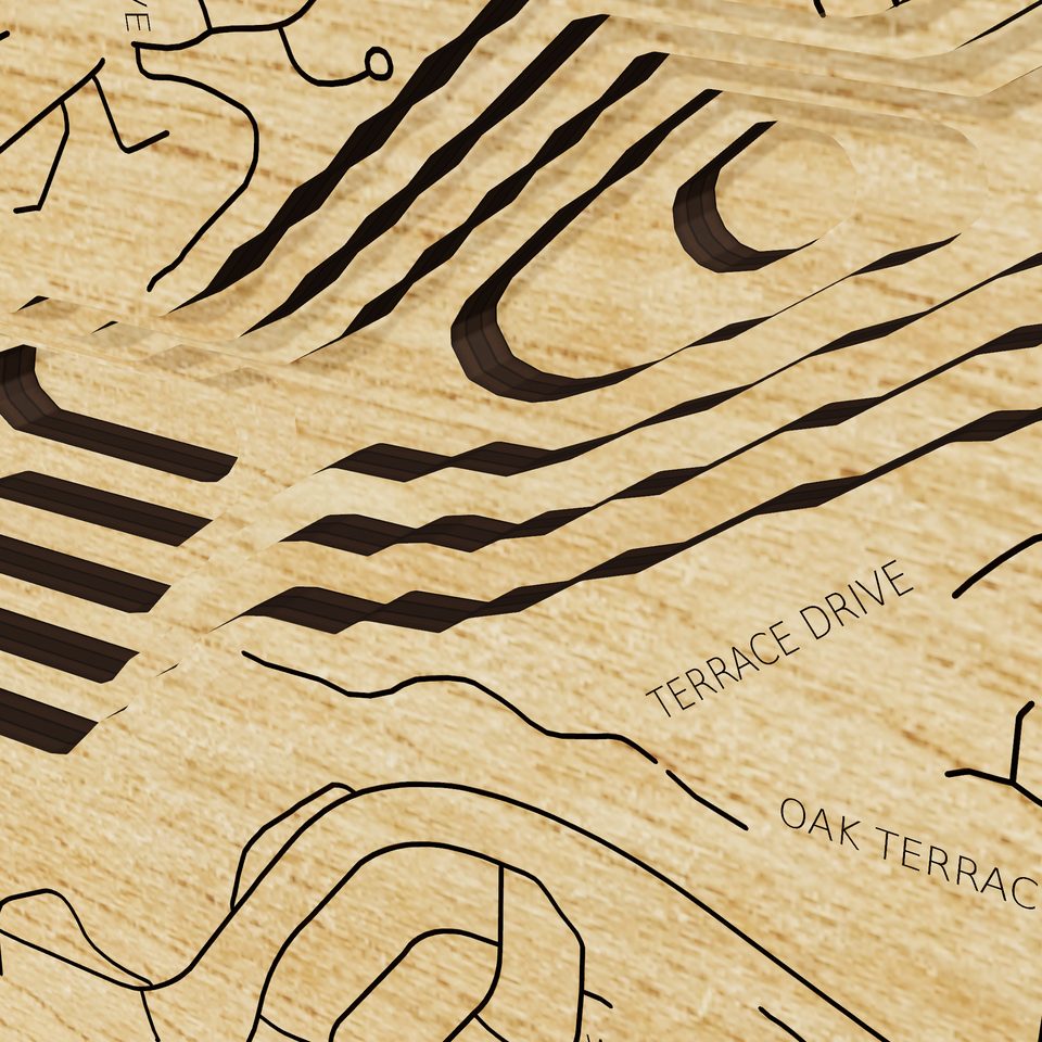 Lake Oswego 3D wood map, detail view