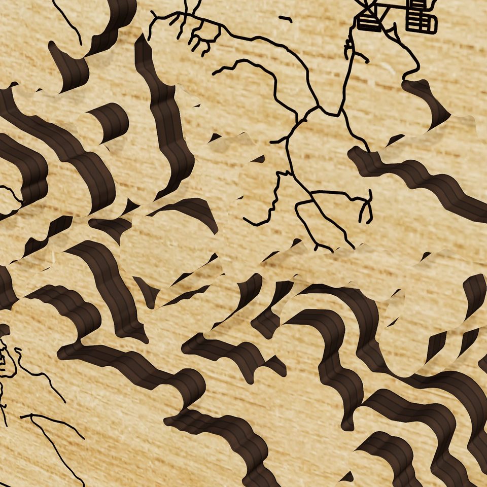 Lake Ouachita 3D wood map, detail view