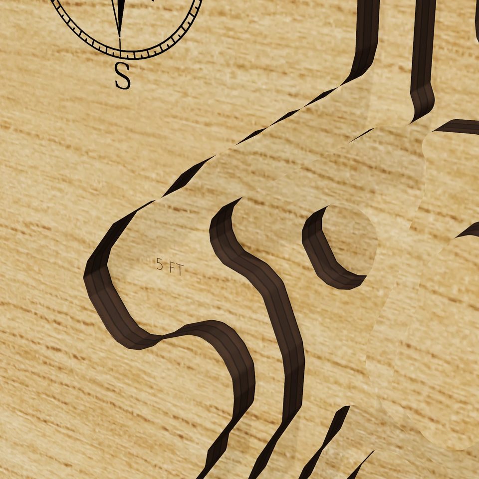 Lake Ovid 3D wood map, detail view