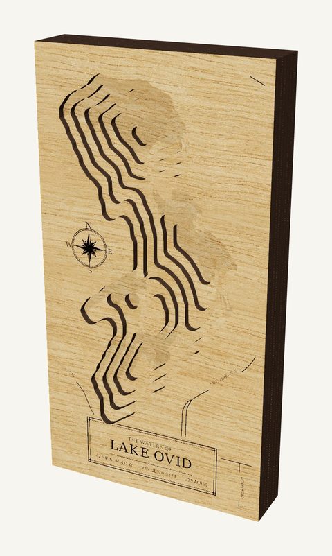 Lake Ovid wood map